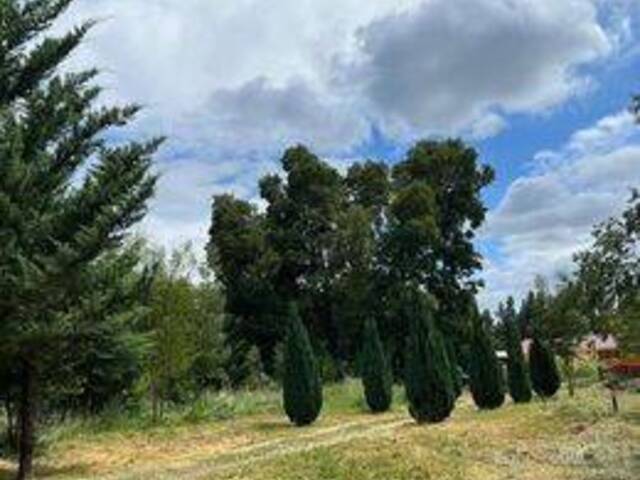#32 - Área para Venta en Chillán - VIII